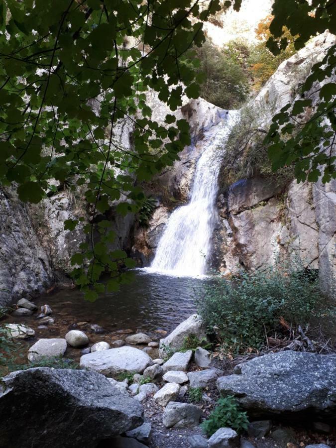 Chalet Mont Canigo Corneilla-de-Conflent Exterior foto